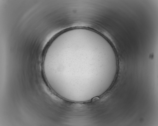 X0000110961124200907022214