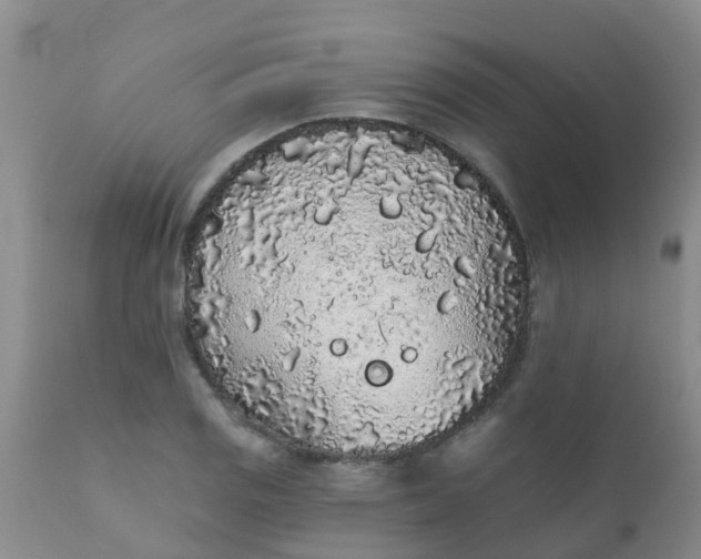 X0000110961125200907022214