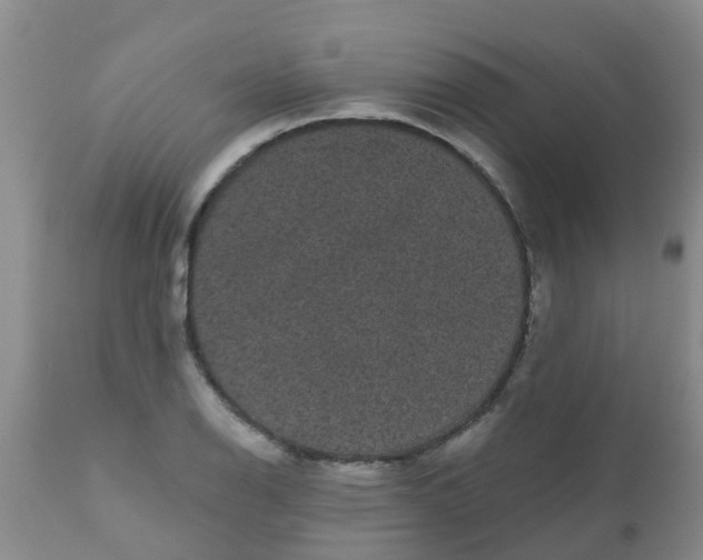 X0000110961126200907022214