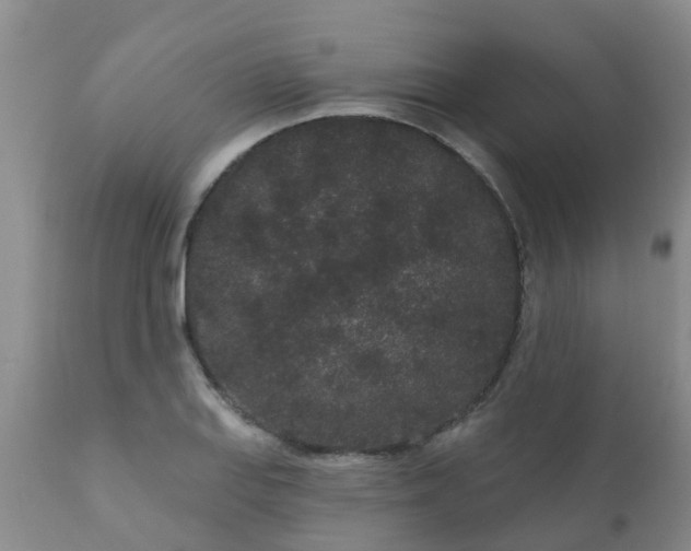 X0000110961127200907022214