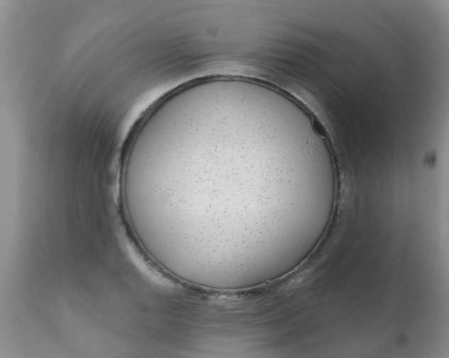 X0000110961128200907022214