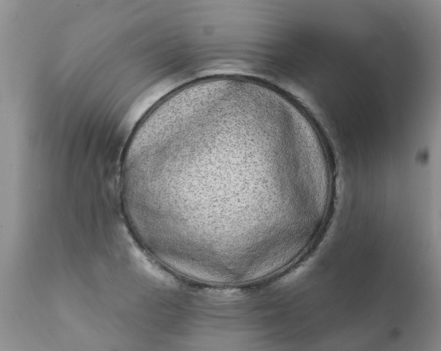 X0000110961129200907022214