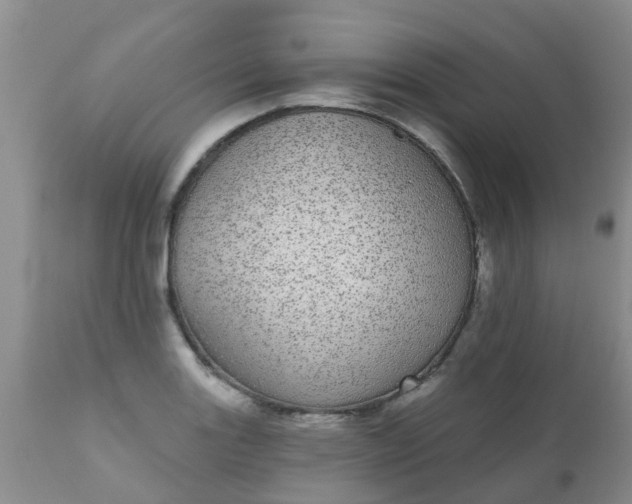 X0000110961131200907022214