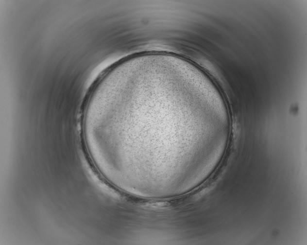 X0000110961133200907022214