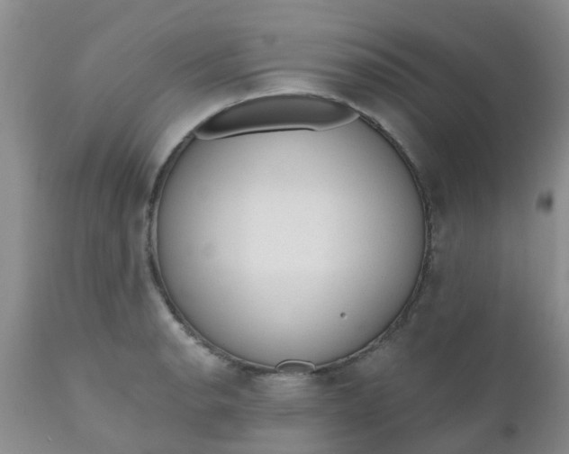 X0000110961134200907022215