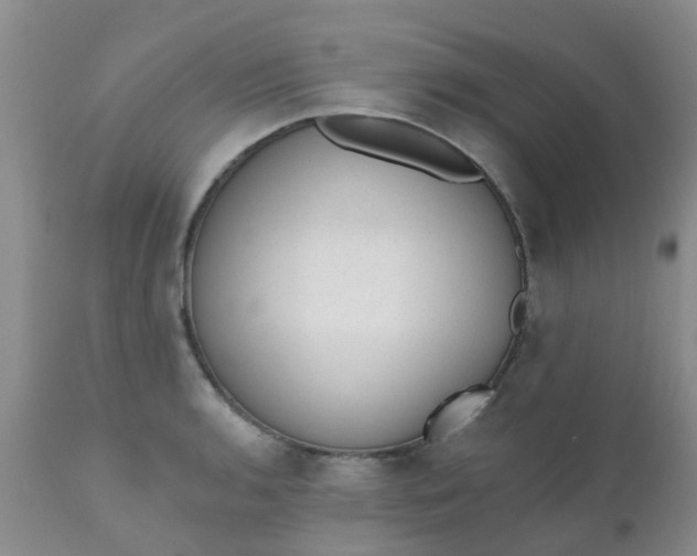 X0000110961136200907022215