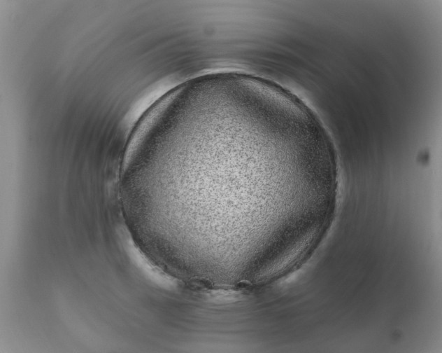 X0000110961137200907022215