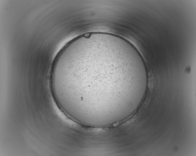 X0000110961139200907022215