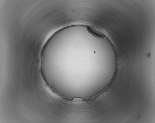 X0000110961140200907022215