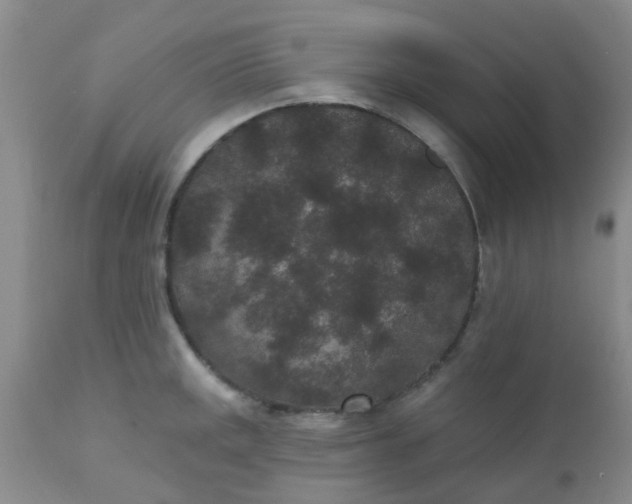 X0000110961141200907022215