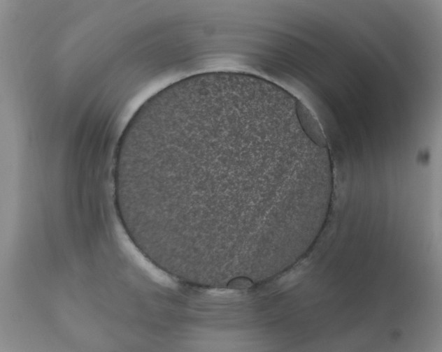 X0000110961142200907022215