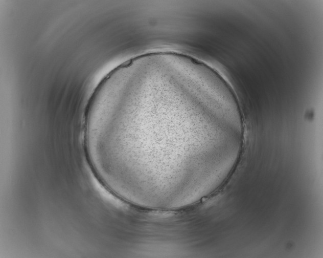 X0000110961143200907022215