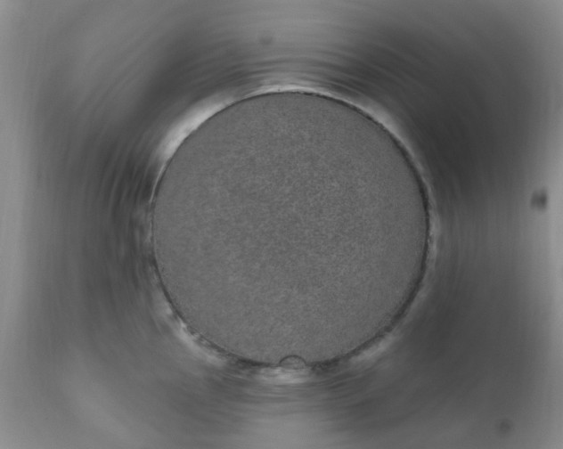 X0000110961145200907022215