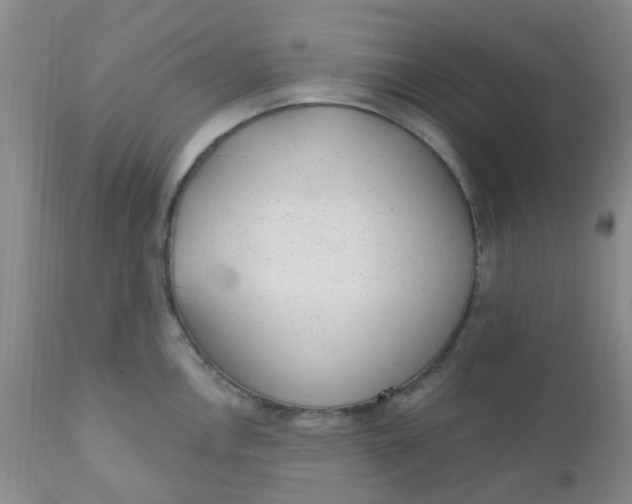 X0000110961146200907022215