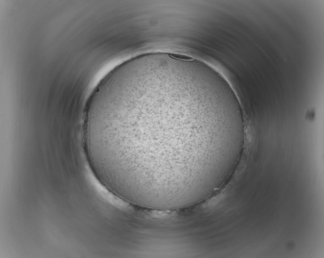 X0000110961147200907022215