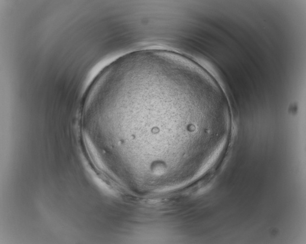 X0000110961149200907022215