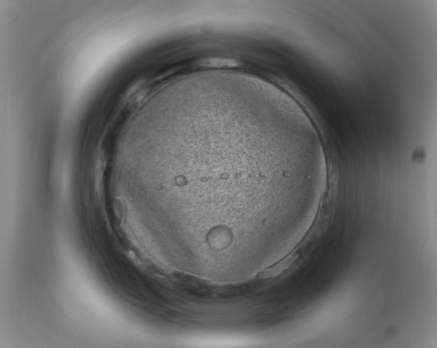 X0000110961151200907022215