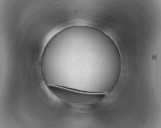 X0000110961152200907022215