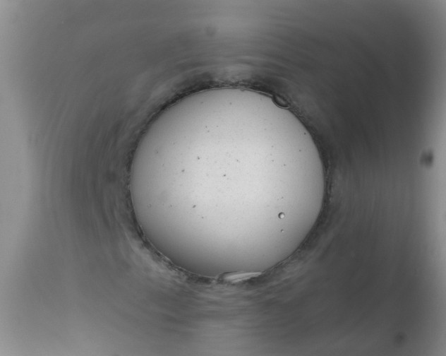 X0000110961153200907022214