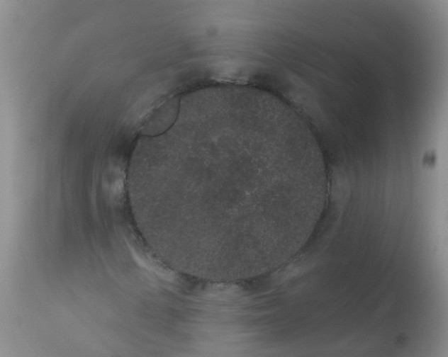 X0000110961154200907022214