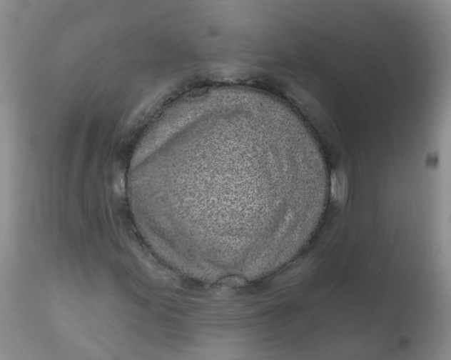 X0000110961155200907022214