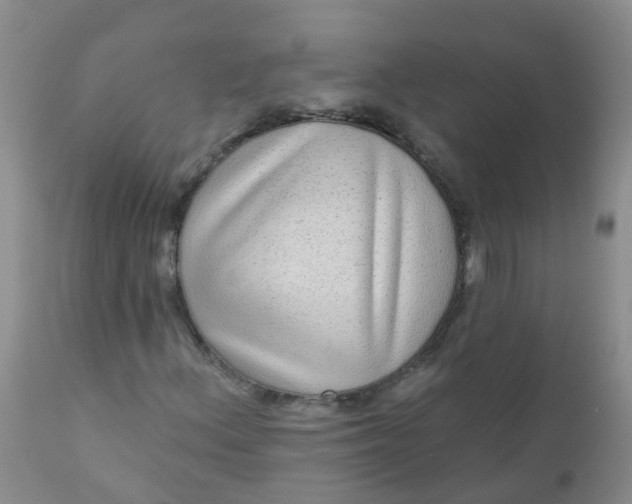 X0000110961156200907022214