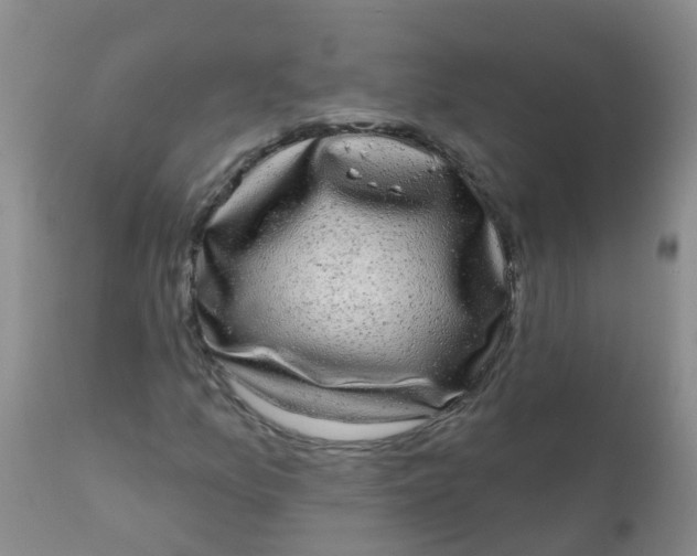 X0000110961157200907022214