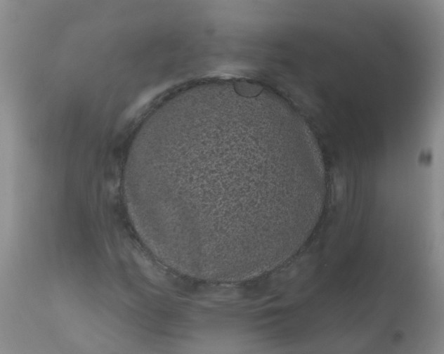 X0000110961158200907022214