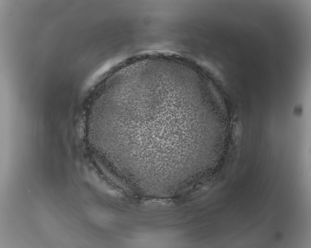 X0000110961159200907022214