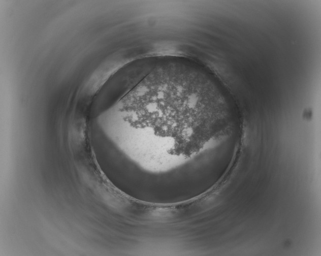 X0000110961161200907022214