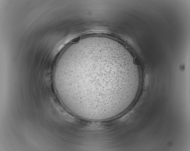 X0000110961162200907022214