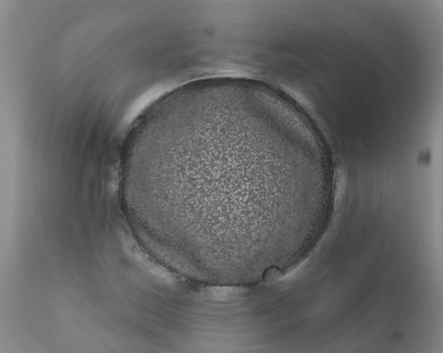 X0000110961163200907022214