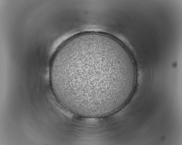 X0000110961167200907022214