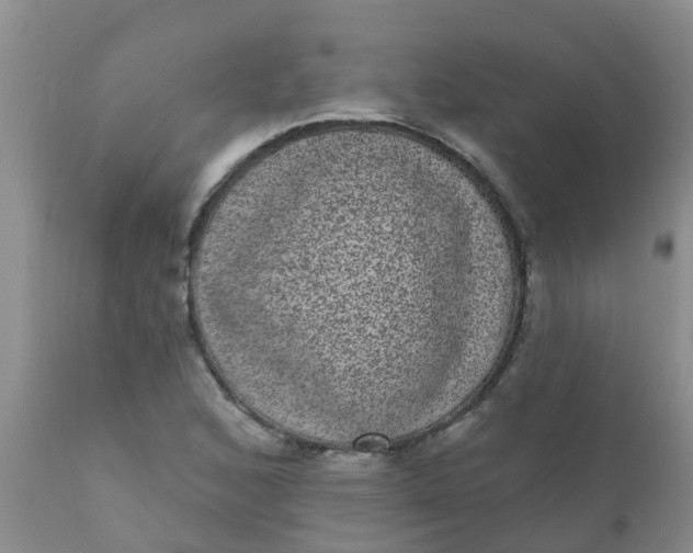 X0000110961168200907022214