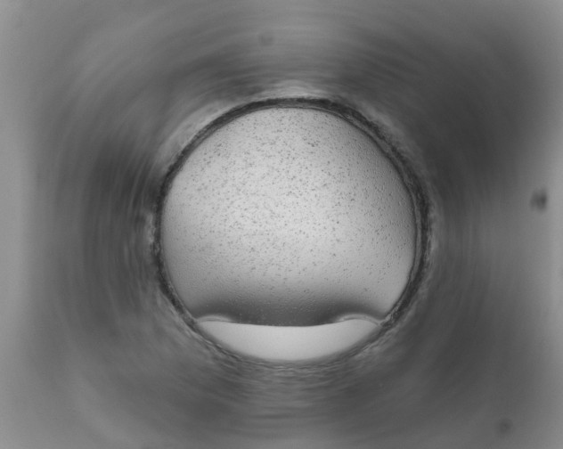 X0000110961169200907022214