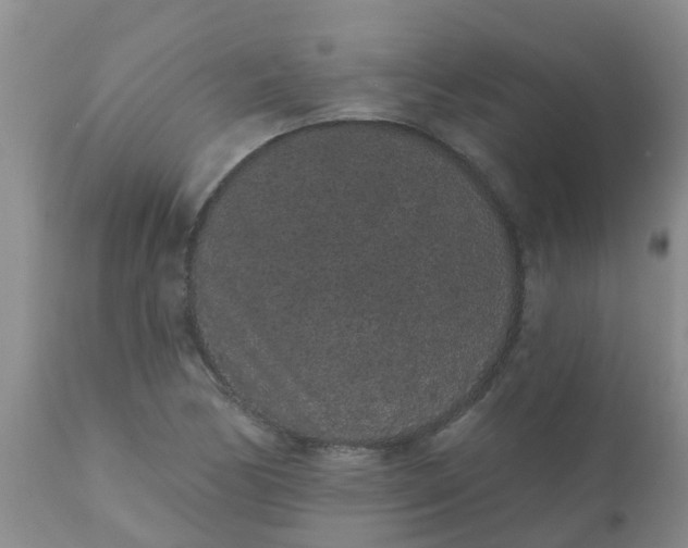 X0000110961170200907022214