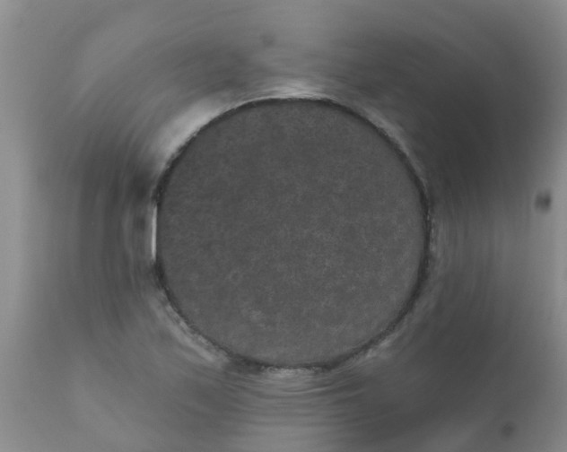 X0000110961171200907022214