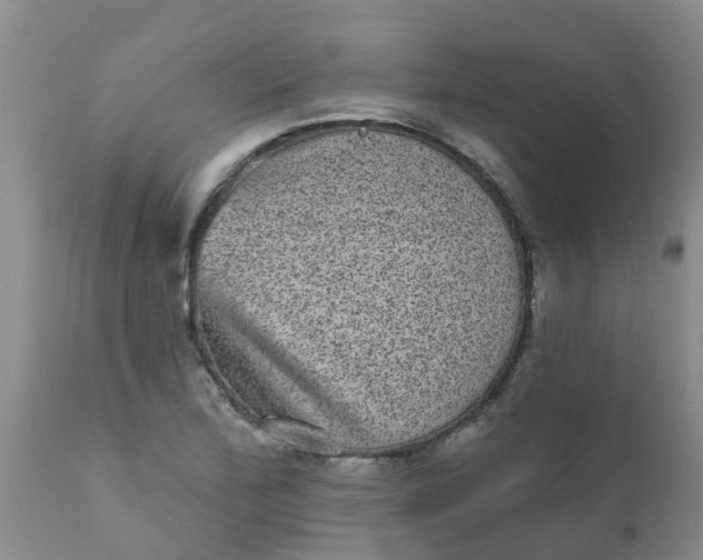 X0000110961172200907022214