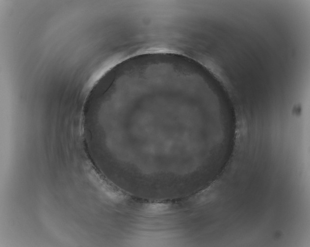 X0000110961173200907022214