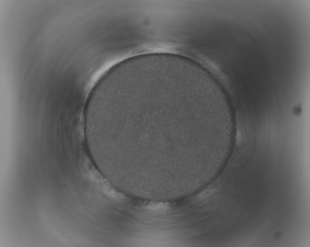 X0000110961174200907022214