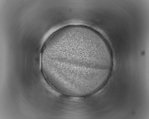 X0000110961175200907022214