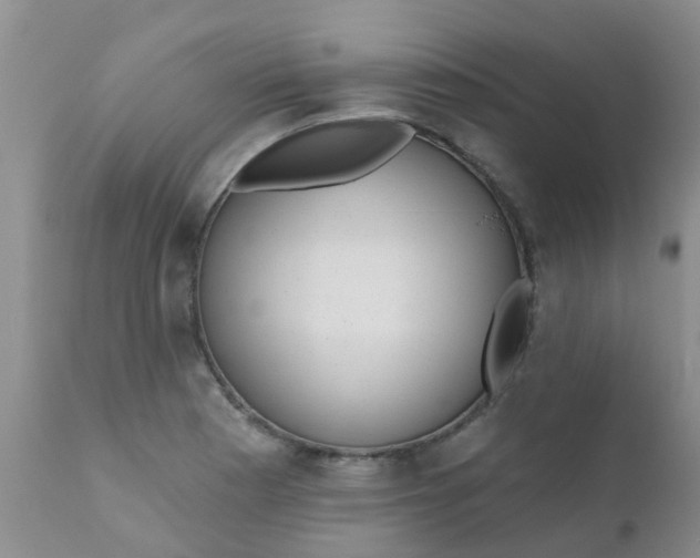 X0000110961177200907022214