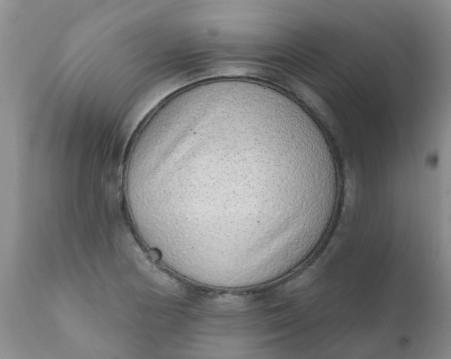 X0000110961178200907022214