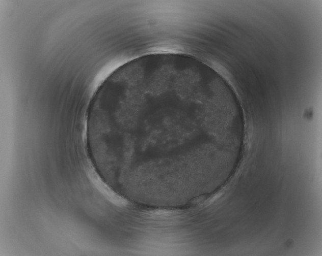 X0000110961179200907022214