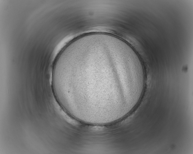 X0000110961180200907022214