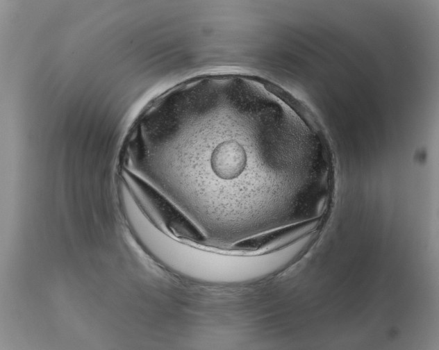 X0000110961181200907022214