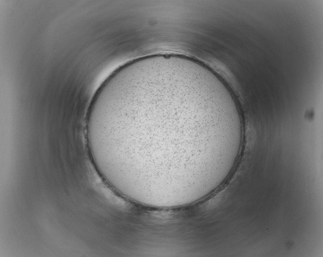 X0000110961182200907022214