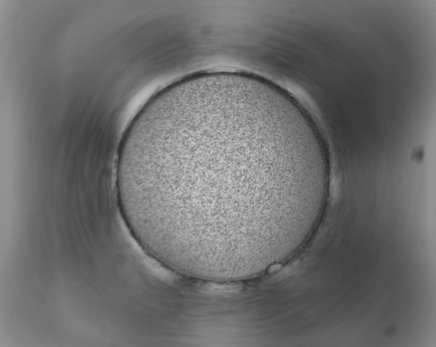 X0000110961183200907022214