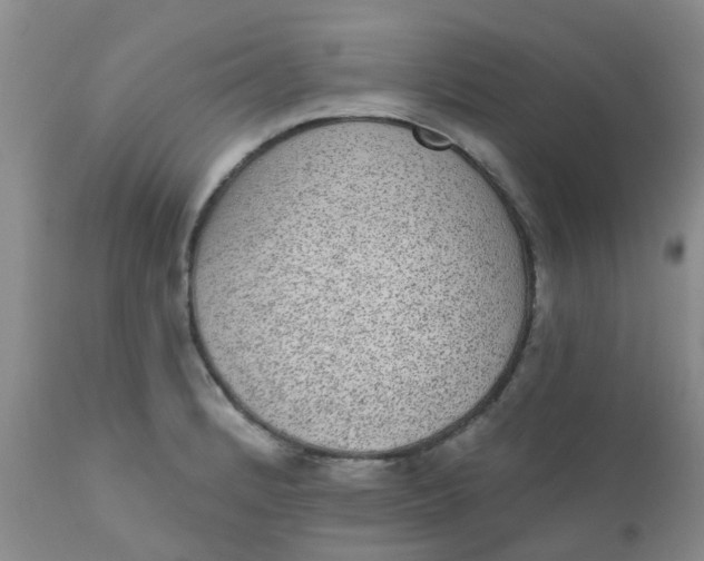 X0000110961184200907022214