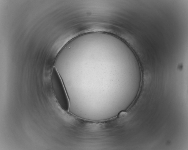 X0000110961185200907022214